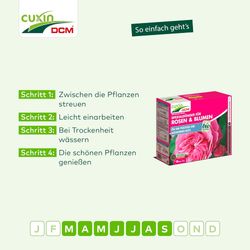 4024024502636-6.jpg 4024024502636-6.jpg