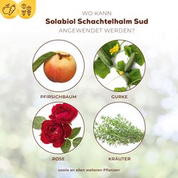 3664715000303-3.jpg 3664715000303-3.jpg