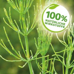 3664715000303-4.jpg 3664715000303-4.jpg