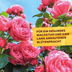 3664715000303-5.jpg 3664715000303-5.jpg