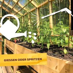 3664715000303-7.jpg 3664715000303-7.jpg