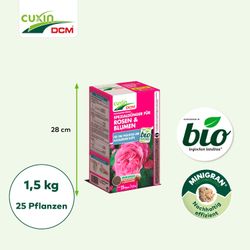 4024024502612-5.jpg 4024024502612-5.jpg