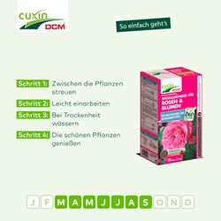 4024024502612-6.jpg 4024024502612-6.jpg