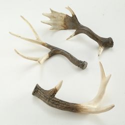 4020607440289.jpg 4020607440289.jpg