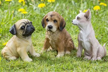 Dekofigur  Erni Hund Kunstharz Farbmix H.23 cm 3 sortiert Stückpreis