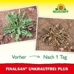 4005240004975-6.jpg 4005240004975-6.jpg