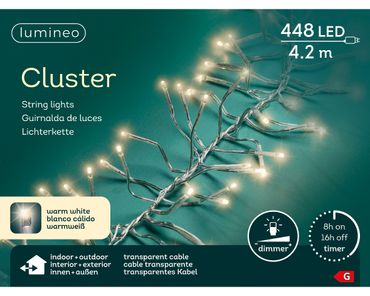 LED Clusterbeleuchtung Outdoor L.420 cm 448L transparent/warm weiss