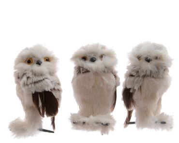 Eule Dekovogel Schneeeule Polyester echte Federn grau  6cm x 8cm x 12cm Stückpreis - Auswahl nach Zufallsprinzip