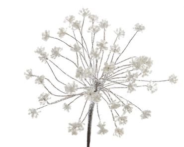 Dekoblüte weiß Bärenklau Frost Tischdeko