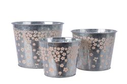 843001.jpg 843001.jpg