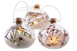 482953.jpg 482953.jpg