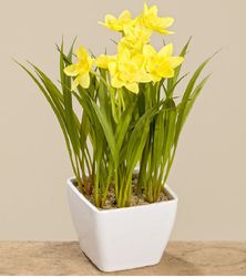 4020607329423.jpg 4020607329423.jpg