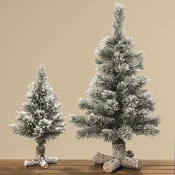 1000005.jpg 1000005.jpg