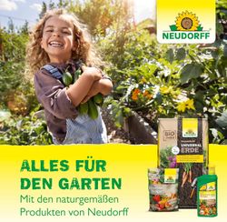 4005240033289-7.jpg 4005240033289-7.jpg