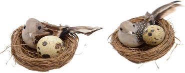 Feder Vogelnest am Draht mit/ohne Punkte 2 er Set