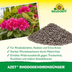 4005240001578-4-1.jpg 4005240001578-4-1.jpg