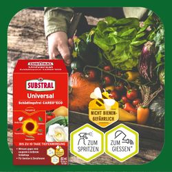 4062700865217-3.jpg 4062700865217-3.jpg