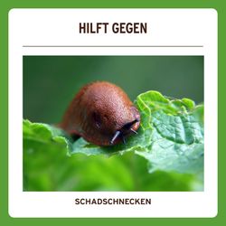 4062700633014-7.jpg 4062700633014-7.jpg