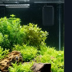 4001615040173-5.jpg 4001615040173-5.jpg