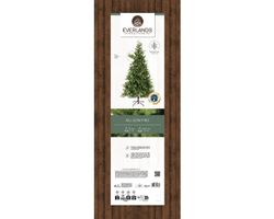 8718532572064-1.jpg 8718532572064-1.jpg