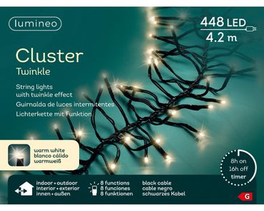 LED Clusterbeleuchtung Twinkle Effekt L.420cm 448L schwarz/warmes weiß