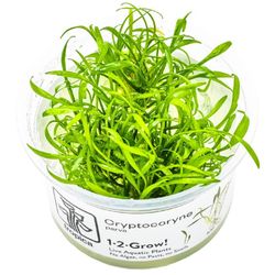 5703249906021-1.jpg 5703249906021-1.jpg