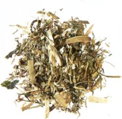 4039159102040-2.jpg 4039159102040-2.jpg