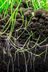 4260614767669-3.jpg 4260614767669-3.jpg