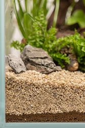 4260614767690-3.jpg 4260614767690-3.jpg