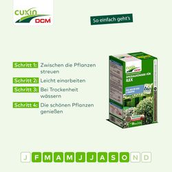 4024024503718-6.jpg 4024024503718-6.jpg