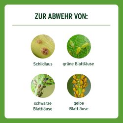 4062700866320-4.jpg 4062700866320-4.jpg