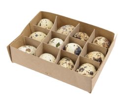 8716128724668-1.jpg 8716128724668-1.jpg