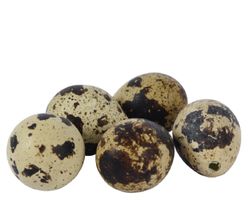 8716128724668-2.jpg 8716128724668-2.jpg