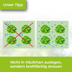 3664715080329-5.jpg 3664715080329-5.jpg