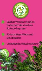 4062700673928-3.jpg 4062700673928-3.jpg