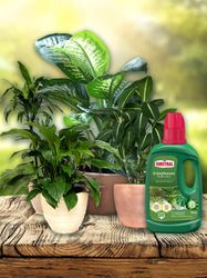 4062700673928-5.jpg 4062700673928-5.jpg