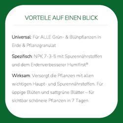 4062700673997-5.jpg 4062700673997-5.jpg