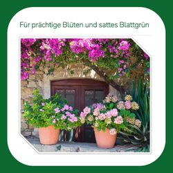 9003225822021-8.jpg 9003225822021-8.jpg