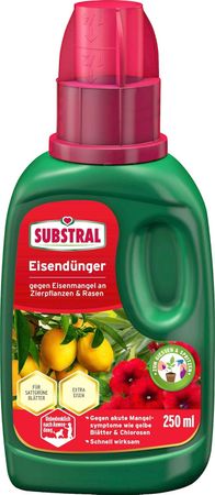 Substral Eisendünger, Flüssigdünger gegen Eisenmangel 250 ml