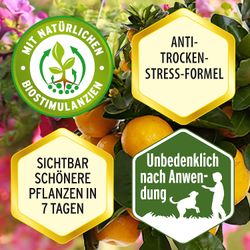 4062700873915-3.jpg 4062700873915-3.jpg