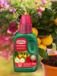 4062700873915-4.jpg 4062700873915-4.jpg