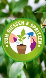 4062700873915-5.jpg 4062700873915-5.jpg