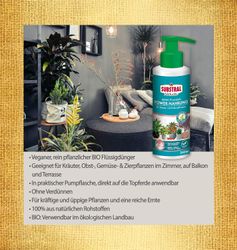 4062700873755-3.jpg 4062700873755-3.jpg