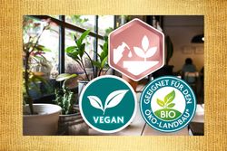 4062700873755-6.jpg 4062700873755-6.jpg