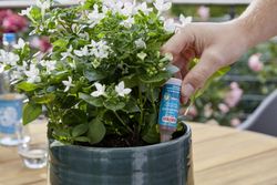 4062700873786-3.jpg 4062700873786-3.jpg