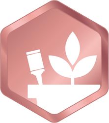 4062700873786-5.jpg 4062700873786-5.jpg