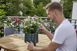 4062700873786-6.jpg 4062700873786-6.jpg