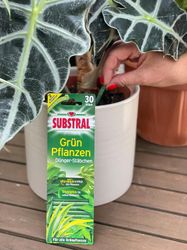 4015000017329-3.jpg 4015000017329-3.jpg