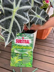 4015000017305-3.jpg 4015000017305-3.jpg