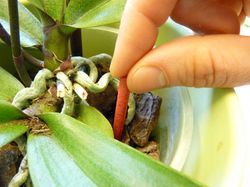 4062700873021-4.jpg 4062700873021-4.jpg